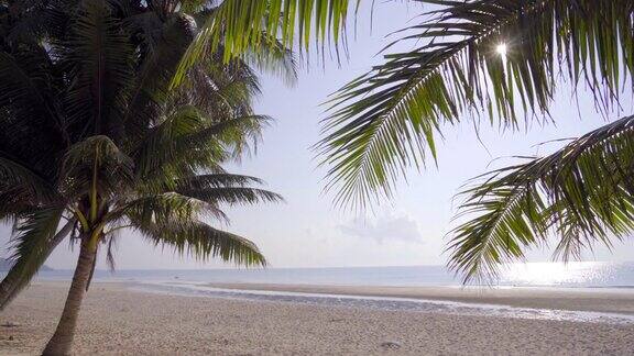 美丽的海景和椰子树春丰省泰国南部