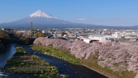 日本的风景有富士山和樱花