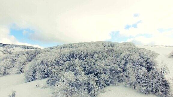 天空中有白雪皑皑的森林