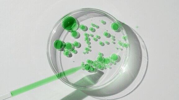 长化学滴管排水绿色油在培养皿与水