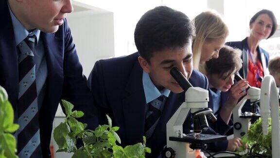 十几岁的学生观察显微镜