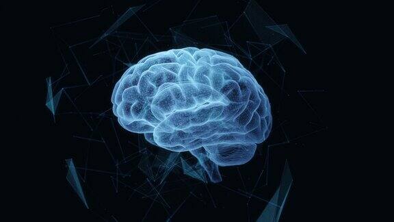 大脑研究技术