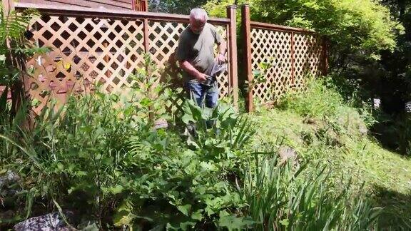 一位长者正在用汽油修剪机修剪后院的杂草