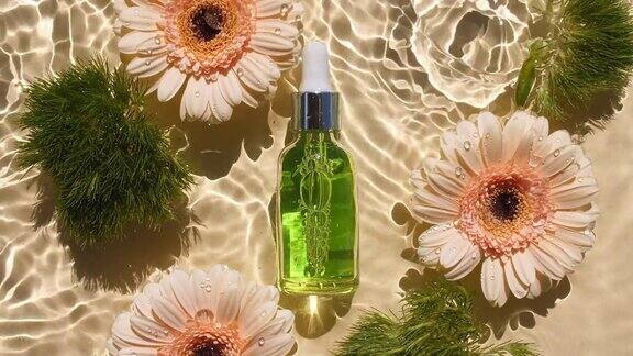 化妆品瓶与移液管和向日葵花非洲菊花瓣花在水面滴水反射阳光和阴影缓慢运动的波浪水广告