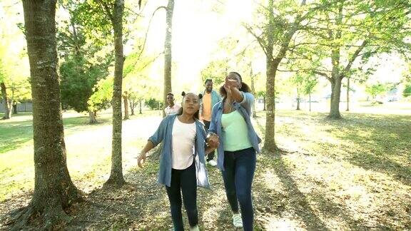 非裔美国人大家庭在公园散步