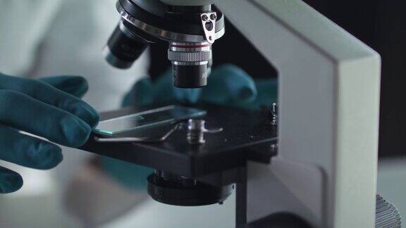 科学家把带有病毒样本的载玻片放在显微镜下