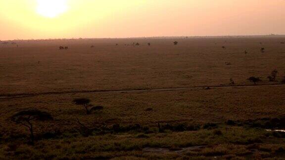 在金色的日出中游猎之路穿过无尽的草原