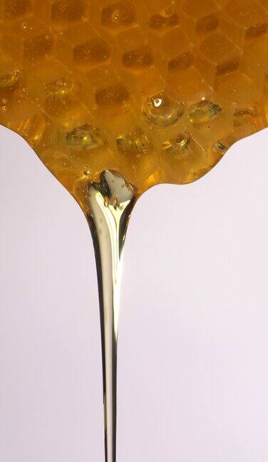 (实时和垂直)蜂蜜从蜂巢流动