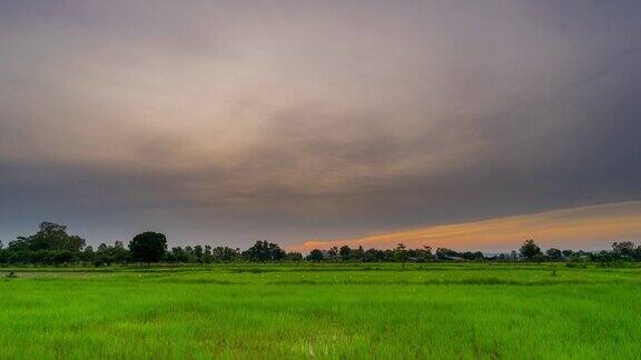 泰国乡村的稻田和日出的自然景象4K延时摄影