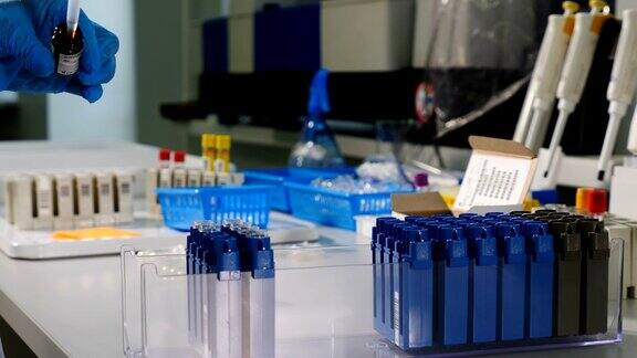 用于遗传学研究的现代医疗设备特写手在蓝色手套使用微型吸管与试管工作创新制药实验室的人在4k拍摄