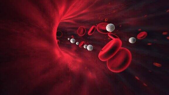 红血球在虎门静脉流动完美的循环
