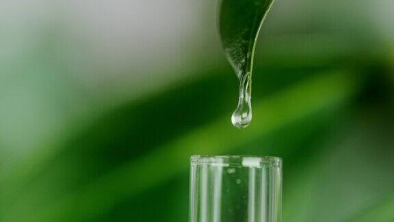 一滴水滴在绿叶上滴进试管