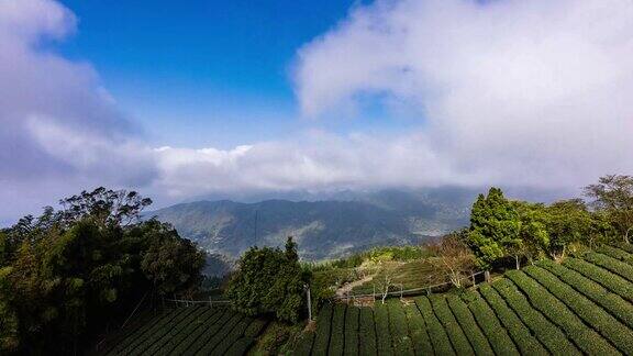 延时台湾茶园上空壮观的云朵