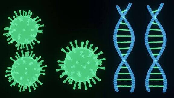 冠状病毒和人类DNA全息图3d动画