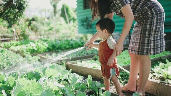 年轻女子和她可爱的儿子在给植物浇水