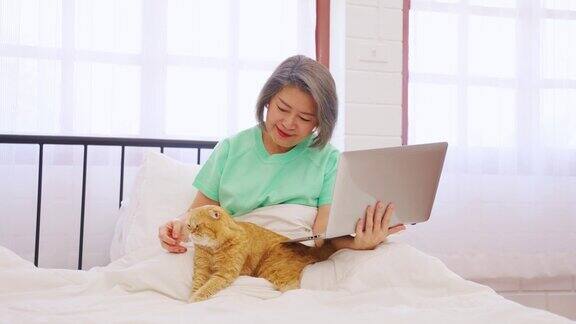亚洲老年妇女在家里用笔记本电脑和家猫一起工作成熟的年长女主人坐在床上心情愉快放松与宠物在卧室度过闲暇时光