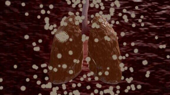 covid-19病毒扩散到肺部三维动画