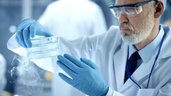 一个医学研究科学家打开冰箱盒子拿出有样品的培养皿并检查它的特写他在一个繁忙的现代化实验室中心工作