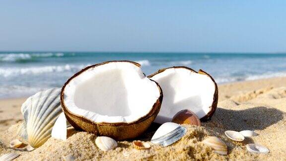 沙滩上的椰子