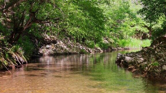 流动的河流或小溪绿树成荫瀑布淙淙