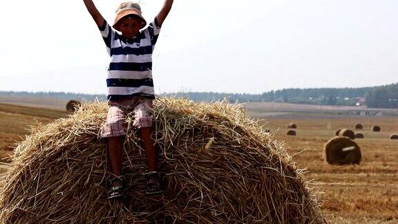 男孩在干草地上的草堆上抛起农村的男孩