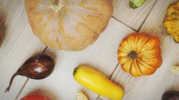 木制背景上的秋天蔬菜南瓜和玉米俯视图万圣节或感恩节庆祝活动