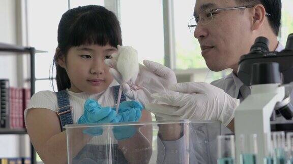 科学家观察行为实验动物与小女孩在实验室实验用大鼠科学的理念测试发展和实验室产业