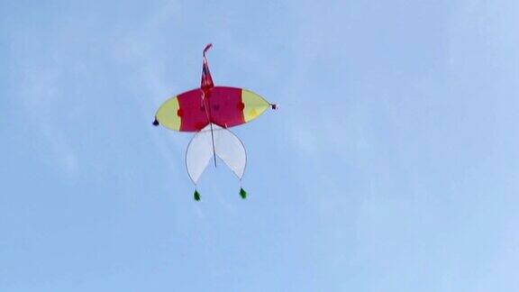 泰国传统的风筝在空中