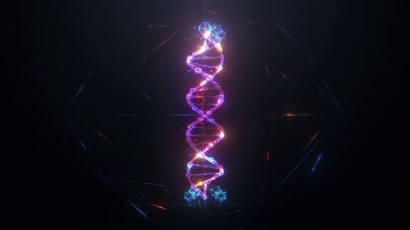 详细的DNA链