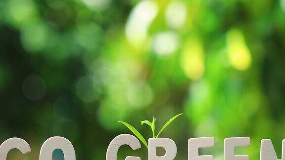 “绿色环保”这个词是木制的