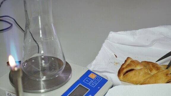 一名科学家在实验室工作的镜头科学家取了一些食物样本并将它们放入锥形烧瓶中进一步检查