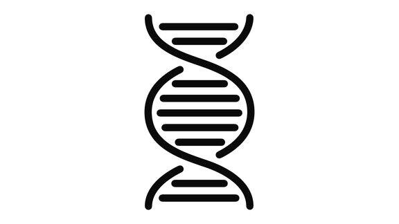 DNA直线运动图形