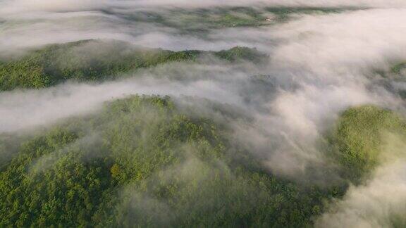 飘过山谷的云或雾