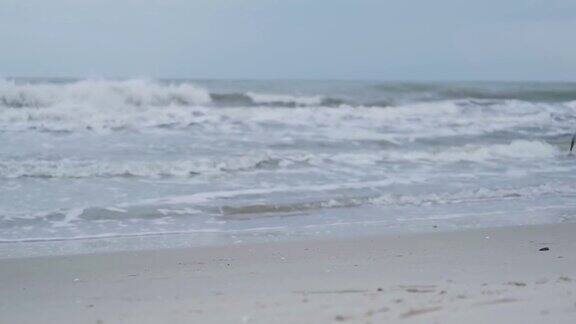 海鸥从波涛汹涌的沙滩上起飞