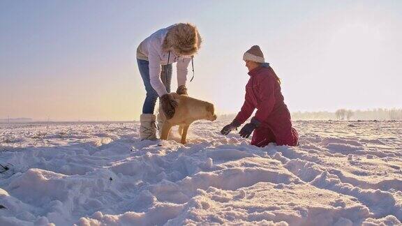 WS和一只小狗在雪中玩耍