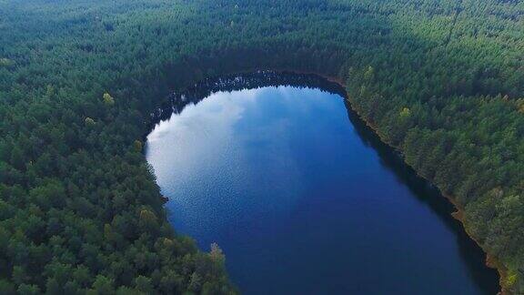 鸟瞰图飞过森林湖