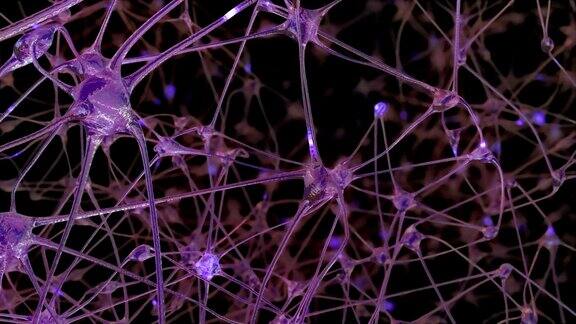 通过大脑中的神经元细胞和突触网络电脉冲和放电通过这些网络