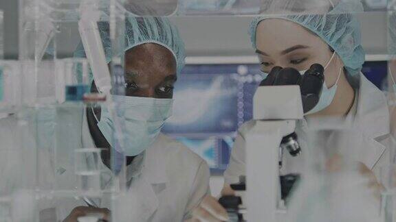 非洲和亚洲的科学家使用显微镜透过实验室的玻璃器皿