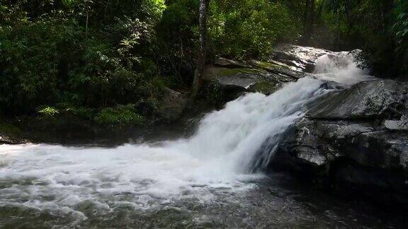 在热带雨林中流淌的山间河流