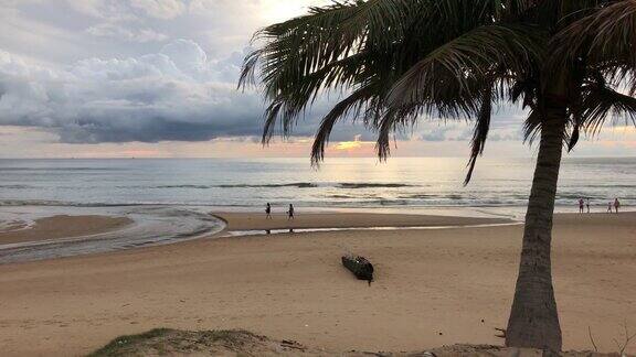 热带海滩上的椰子树多云