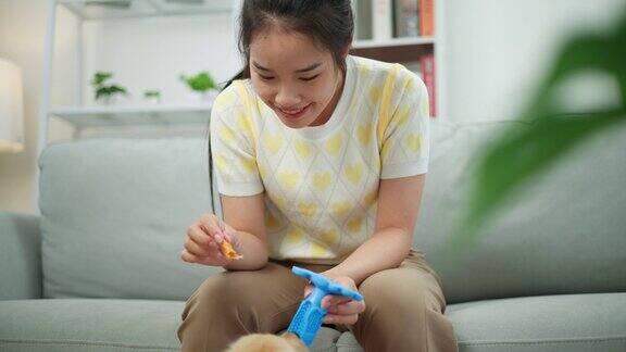 亚洲女主人给小狗喂食