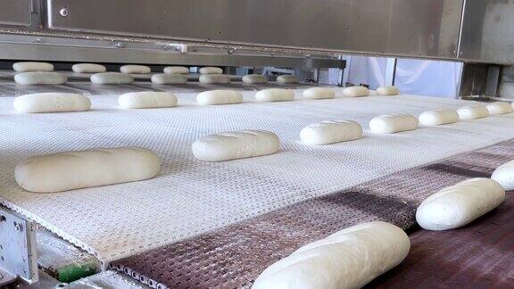 大型烘焙面包工业生产线新鲜的面包面团进入面包烤炉工业面包烘烤隧道输送带
