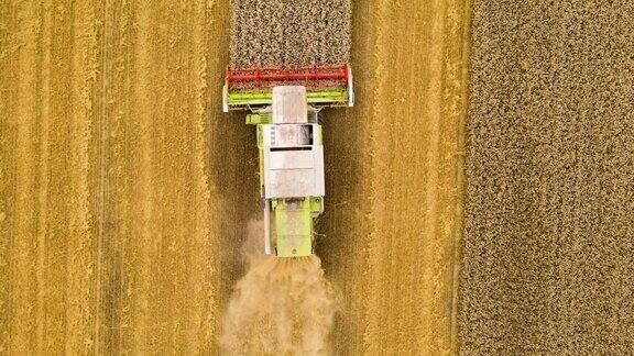 谷物农田联合收割机世界粮仓危机中的小麦和玉米市场