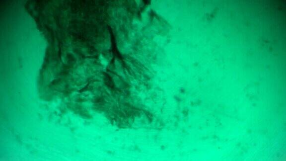 光显微镜下的鱼鳞
