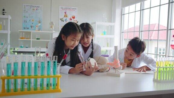 一名小学生在私立学校的实验室里观察牙齿和头骨模型并在笔记本上写笔记