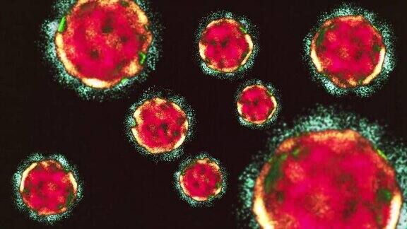 病毒、细菌、细胞、流感流行与新型冠状病毒、Sars、Mers、H1N1、Covid-19nCoV传播的微观视角、全球致命病毒感染、冠状病毒大流行危机的逼近、流感病毒的微观视角