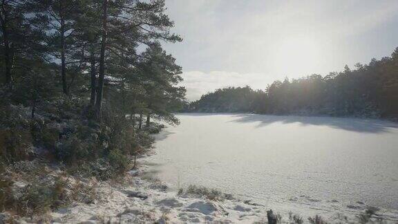 冬季户外:森林景观覆盖着积雪和结冰的湖泊