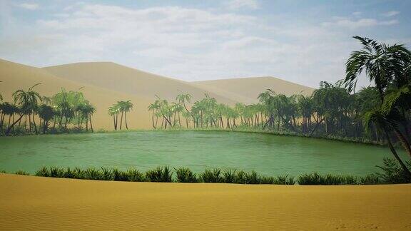 沙漠中的绿洲数字动画
