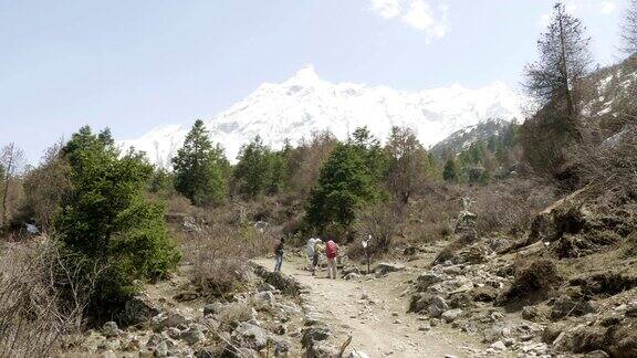 导游带领的游客正在尼泊尔马纳斯鲁地区的喜马拉雅山徒步旅行