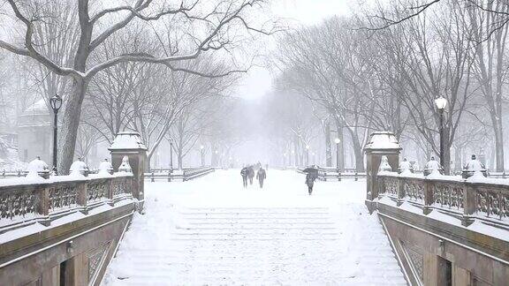 纽约中央公园冬天的雪